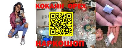 ешки Кингисепп