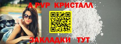 ешки Кингисепп